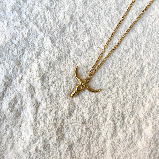 LONGHORN